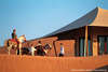 Al Maha Desert Resort & Spa 